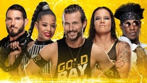 poster WWE NXT