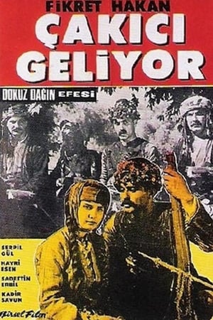 Dokuz Dağın Efesi: Çakıcı Geliyor poster