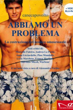 Abbiamo un problema. La costruzione del nemico omosessuale (2012)