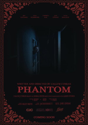 Phantom 6