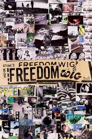 Poster Volcom Stone’s Freedom Wig (1997)