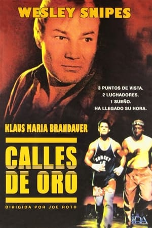 Poster Calles de oro 1986