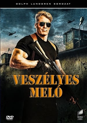 Poster Veszélyes meló 2017