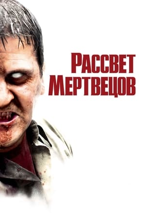 Poster Рассвет мертвецов 2004