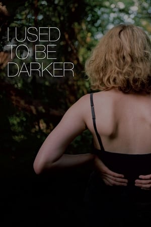 Poster I Used to Be Darker (2013)