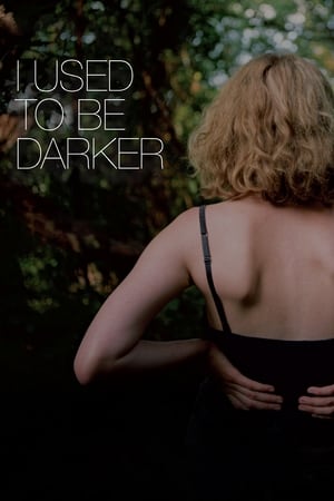 Poster I Used to Be Darker 2013