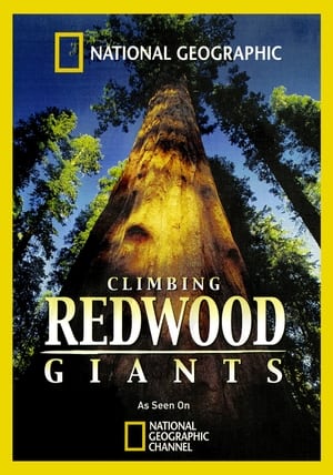 Poster Climbing Redwood Giants 2009