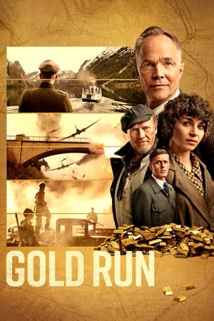 Poster Gold Run 2022