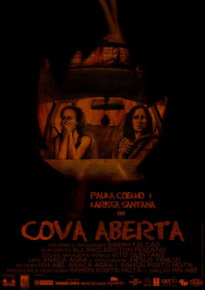 Poster Cova Aberta (2013)