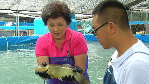 Episode 9 | StreamHub