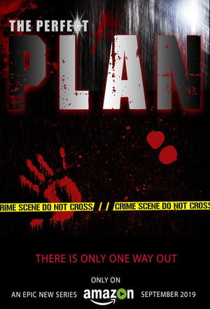 The Perfect Plan poster