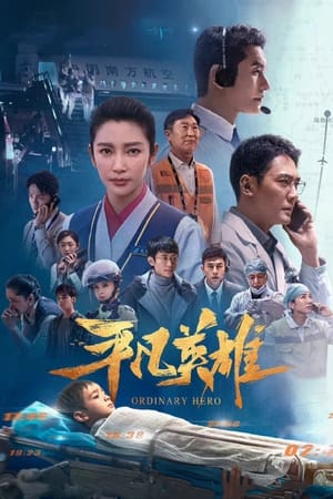 Poster Ordinary Hero 2022