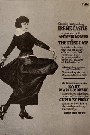 Poster The First Law 1918