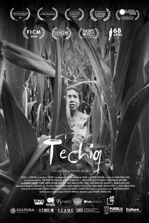 Techiq (2025)