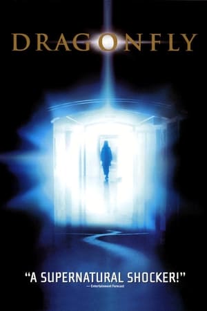 Dragonfly (2002) is one of the best movies like An American Haunting (2005)