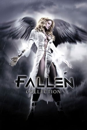 Fallen Collection