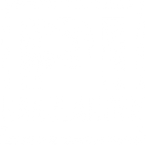 P.I. Haaglanden — Logos 1