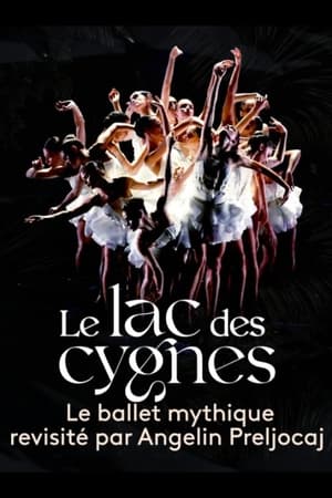 Image Le lac des cygnes au théâtre national de Chaillot
