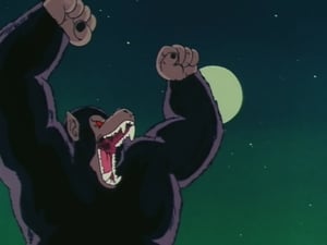 Dragon Ball (Bola de Dragón): 1×13