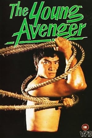 Poster The Young Avenger 1980
