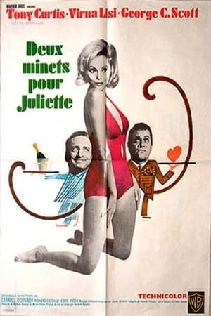 Poster Deux Minets pour Juliette ! 1966