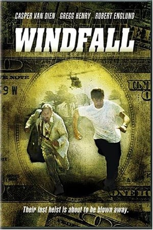 Poster Windfall 2002