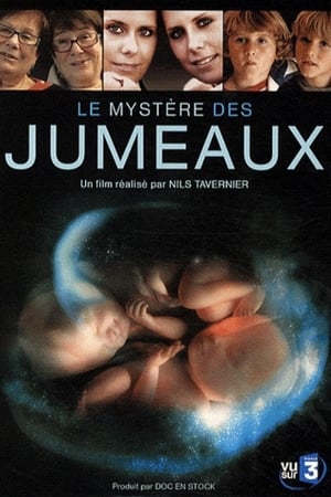 Poster di Le mystère des jumeaux