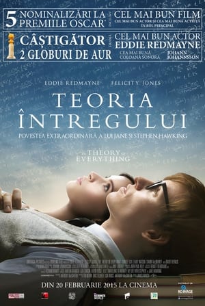 Teoria întregului (2014)