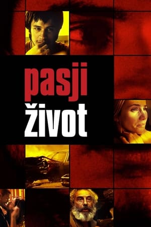 Poster Пасји живот 2000