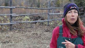 Dr. Oakley, Yukon Vet One Angry Muskox