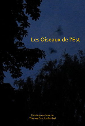 poster_Les oiseaux de l'Est