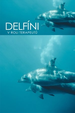 Nonton film Curaçao, des dauphins thérapeutes (2022) terbaru sub indo Nonton film Curaçao, des dauphins thérapeutes (2022) terbaru sub indo