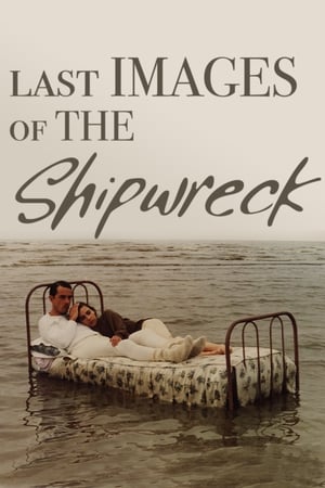 Last Images of the Shipwreck poster