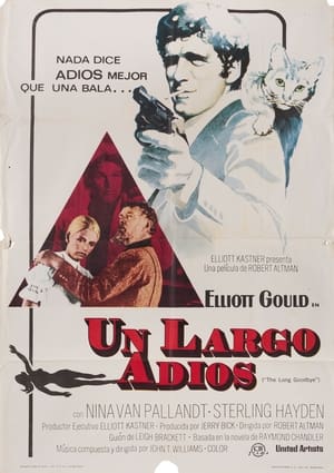 Poster Un largo adiós 1973