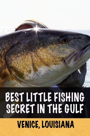 Best Little Fishing Secret in the Gulf: Venice, Louisiana (2020)