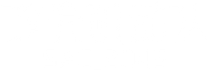 Ghost in the Shell: SAC_2045 — Logos 2