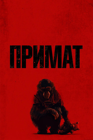 poster Primate