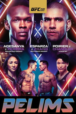 UFC 281: Adesanya vs. Pereira 8
