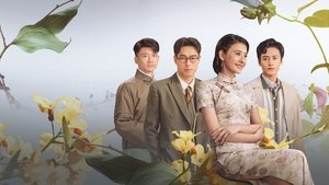 Wild Ambition Bloom (2025)