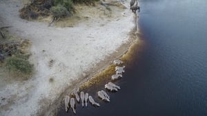 Into the Okavango