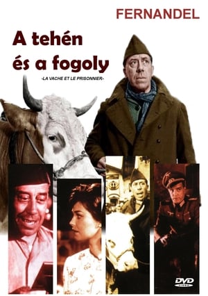 Image A tehén és a fogoly