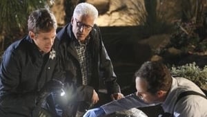 CSI – Scena del crimine 13×20