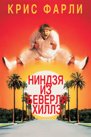 Ниндзя из Беверли Хиллз 1997