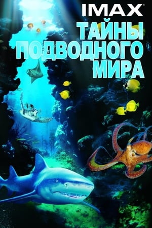 Poster Тайны подводного мира 2006