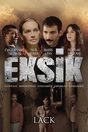 Poster Eksik 2015