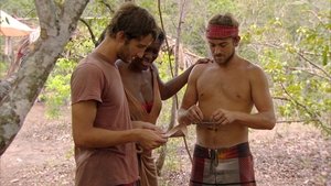 Épisode 8