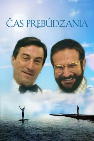 Poster Čas prebúdzania 1990