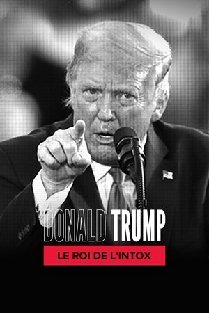 Image Donald Trump : le roi de l'intox