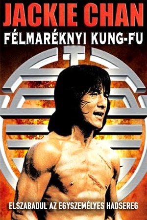 Poster Félmaréknyi kung-fu 1978