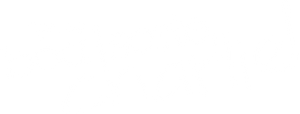 Boa Sorte, Charlie! — Logos 2